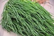 AGRETTI